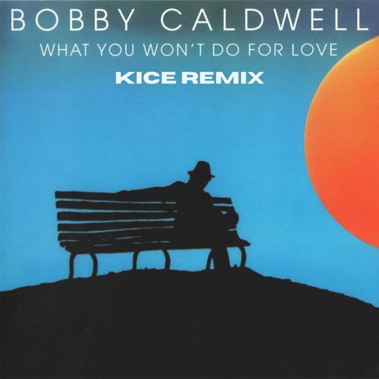 KICE - What You Won't Do for Love cover art